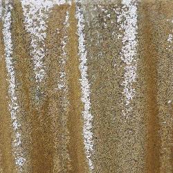 Champagne Sequin Panels