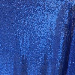 Blue Sequin Panels